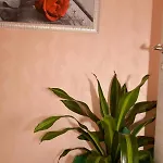 Bed and breakfast Italy